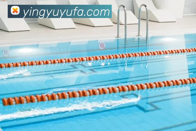 澳门大阳城娱乐场入口APP 封面图